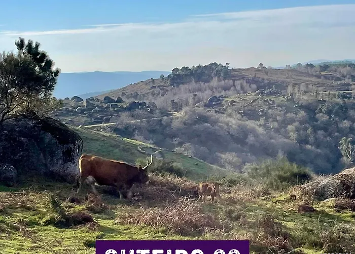 Casa Outeiro 99 Holiday home *